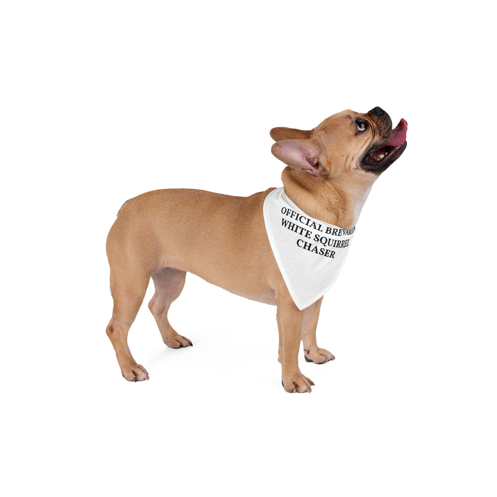 BIG DOG Pet Bandana