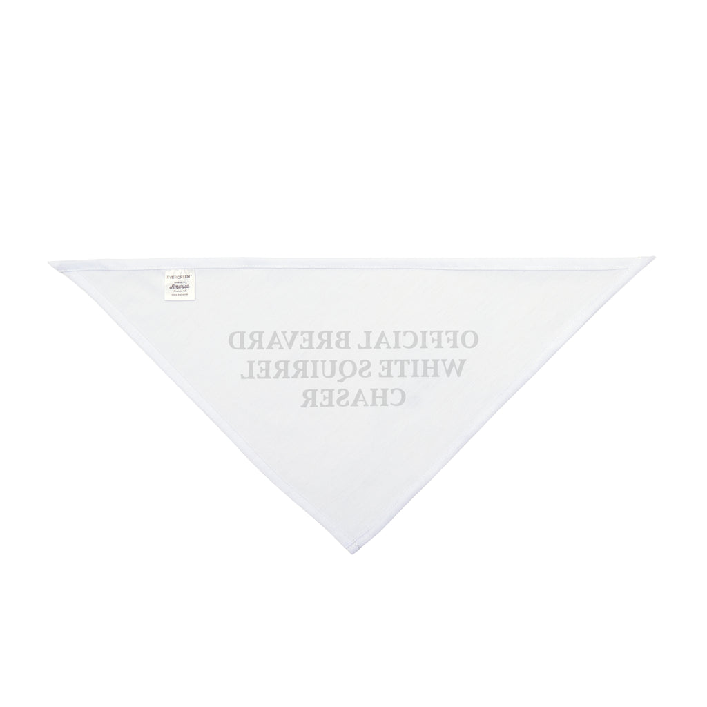 BIG DOG Pet Bandana