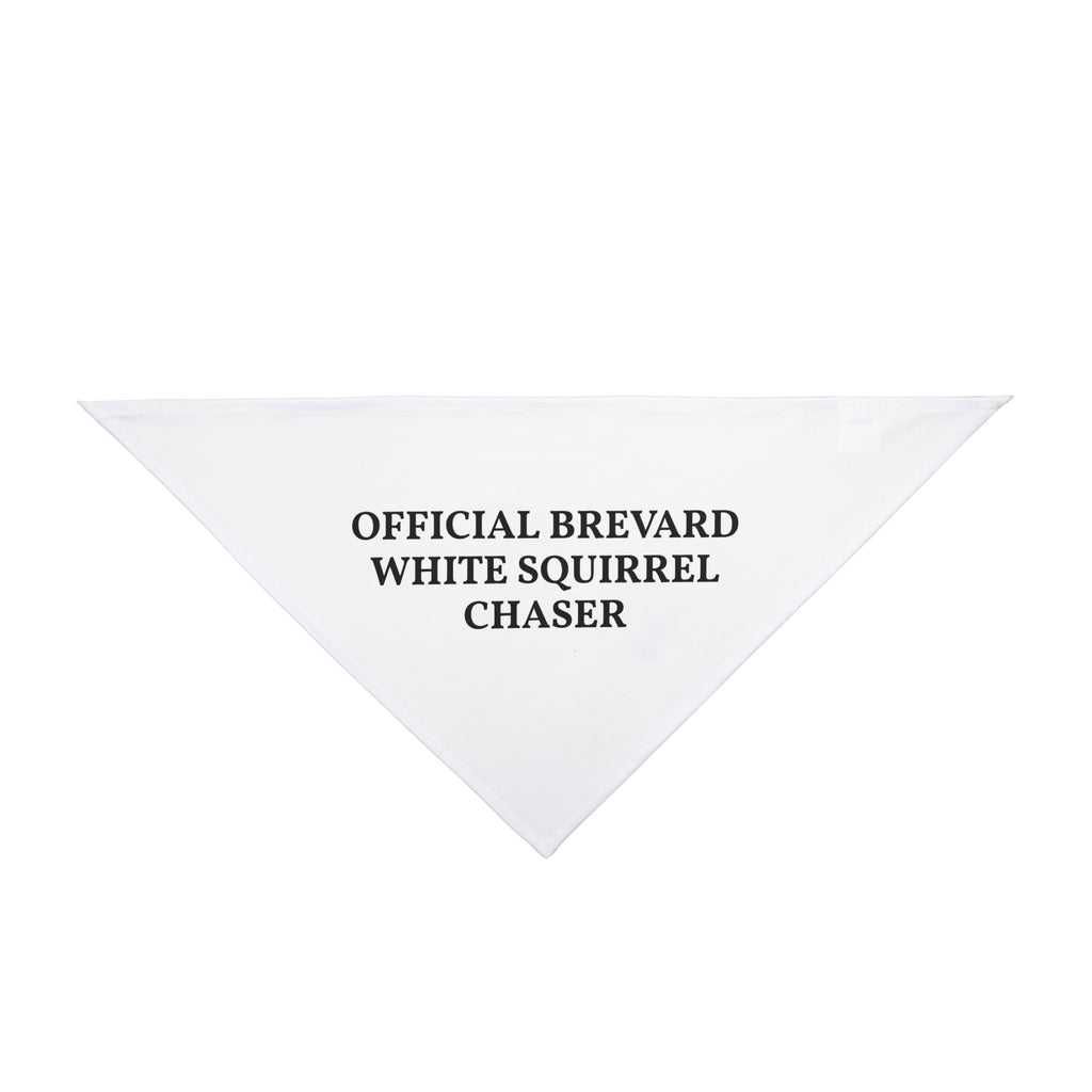 BIG DOG Pet Bandana