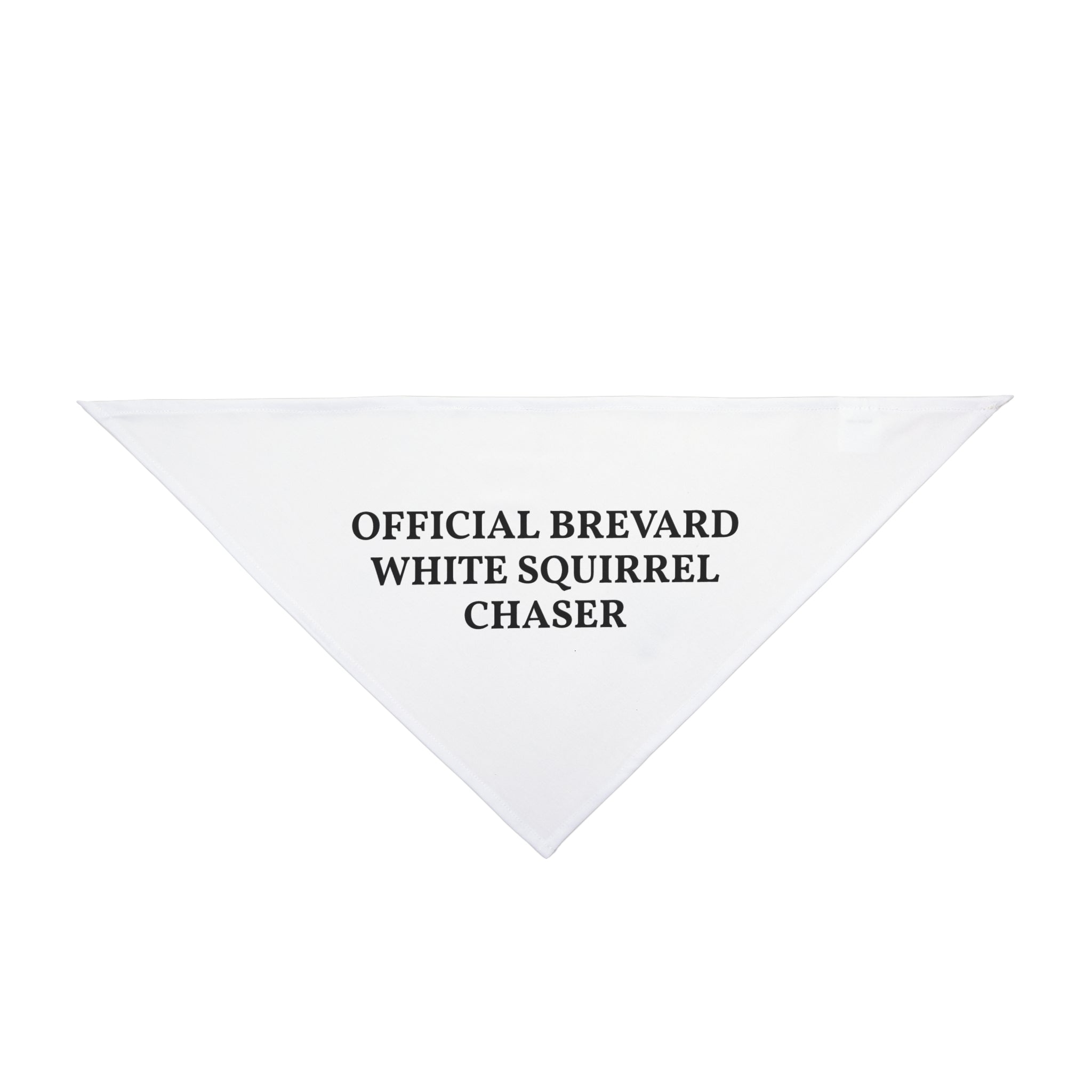 BIG DOG Pet Bandana