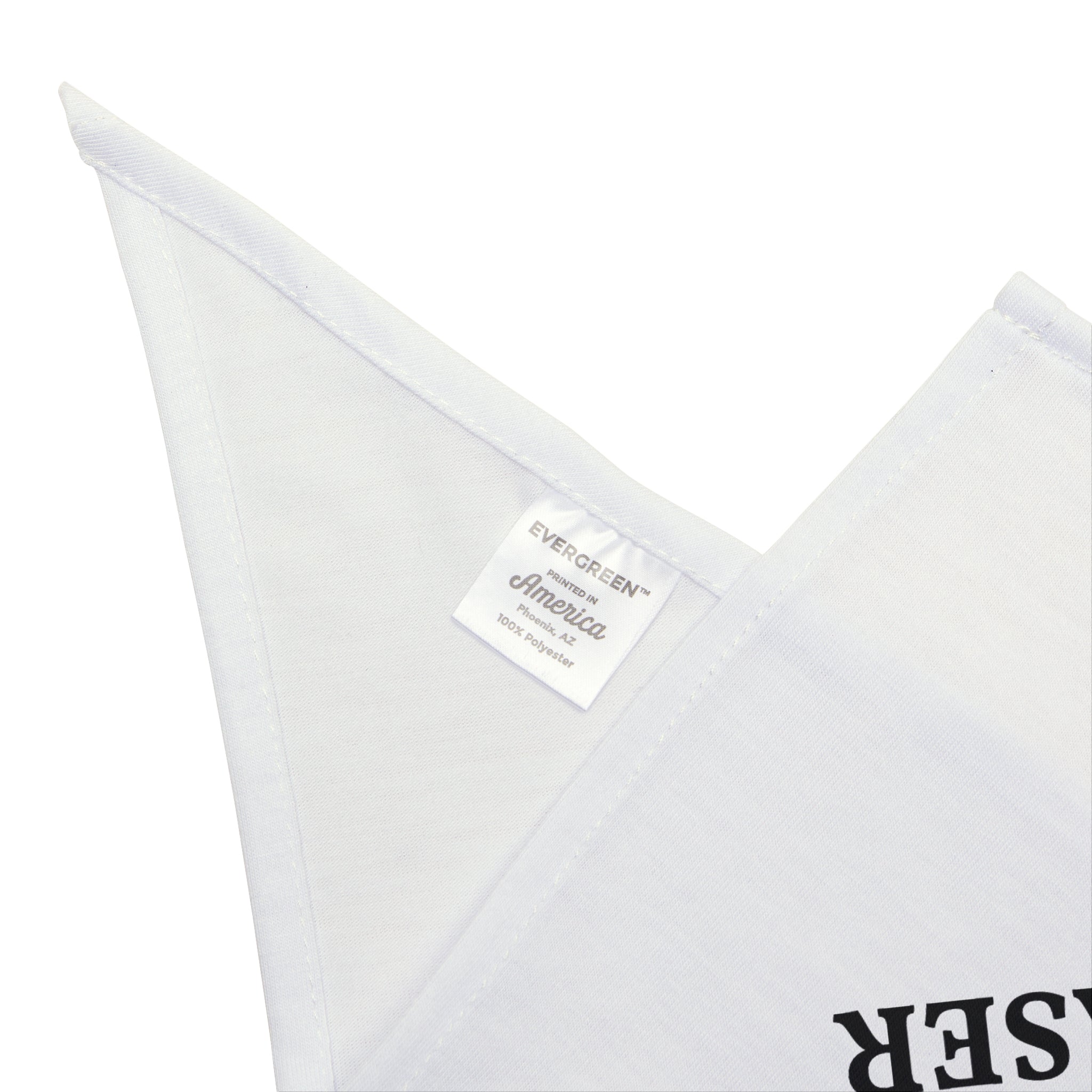 BIG DOG Pet Bandana
